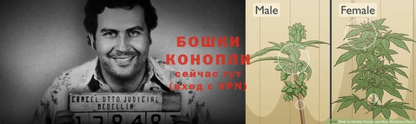 шишки Красноперекопск