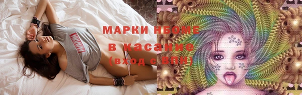 стафф Коряжма