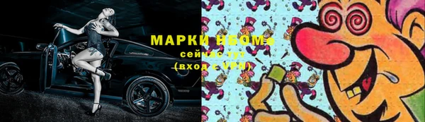стафф Коряжма