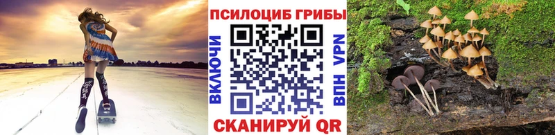 Псилоцибиновые грибы Cubensis  Купить  Котовск 